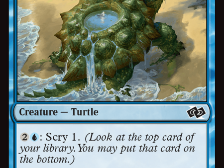 Tidepool Turtle [Foundations Jumpstart] For Discount